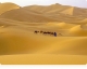 Умацоўваць веру ў “пустыні”