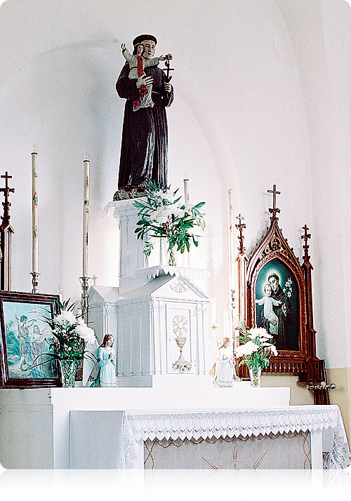 Łabno: kościół Matki Bożej Różańcowej. Boczny ołtarz św. Antoniego z Padwy
